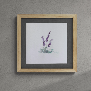 Lavanda